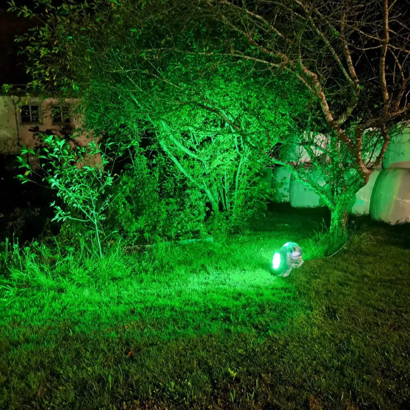 Grüne Lichtprojektion im Außenbereich